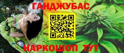 стаф Будённовск