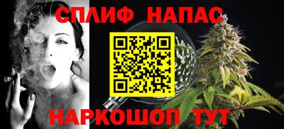 стаф Будённовск