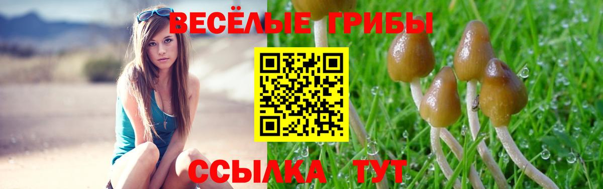 Галлюциногенные грибы мицелий Чебоксары